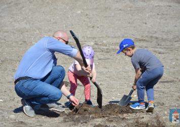 budowa przystani nautica